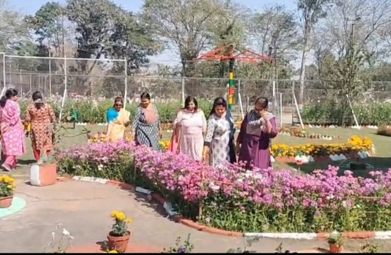 ধোঁয়া-ধুলোয় ঢাকা দুর্গাপুরে ৪৬ বছরের সবুজ উৎসব, গৃহবধূদের পুষ্প প্রদর্শনী