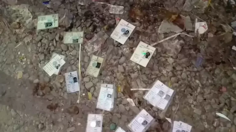 sir_1772085012085_1772085023939